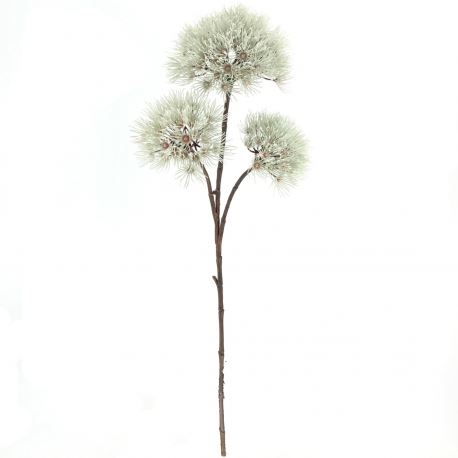 4570 HASTE FOENICULUM