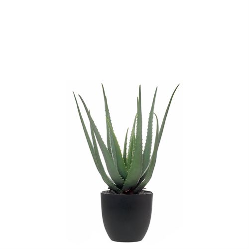 43422 PLANTA ARTIFICIAL ALOE 55CM