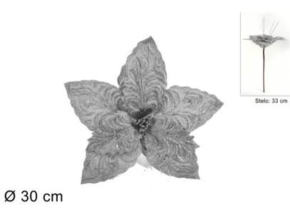 761584 NTL HASTE FLOR