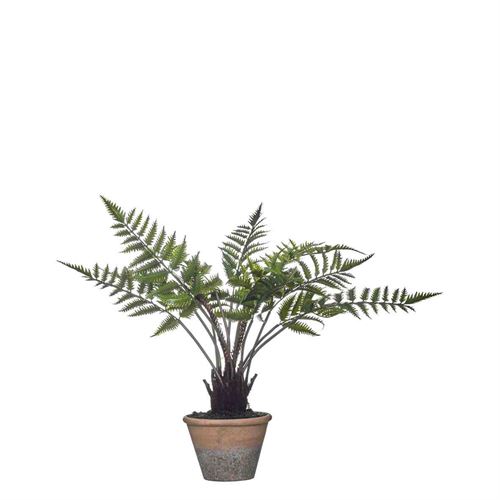 43336 PLANTA ARTIFICIAL 57CM
