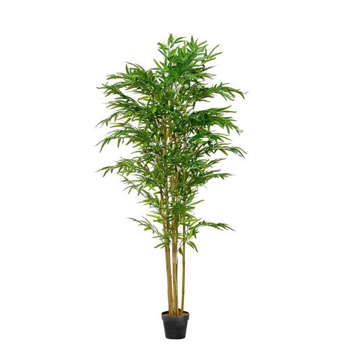 43386 PLANTA BAMBU 155CM