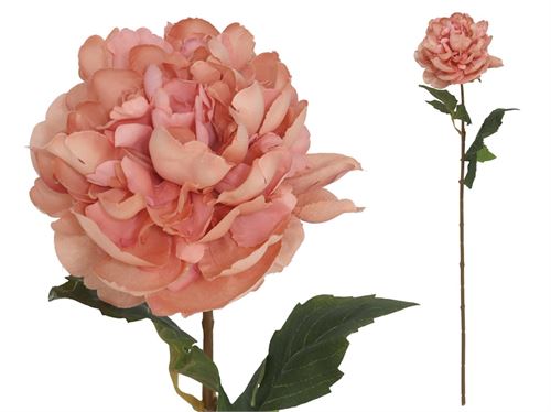 26091 HASTE PEONIA 68CM