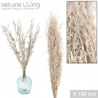 55208 ALFONSO GRASS NATURAL 100GR H100CM