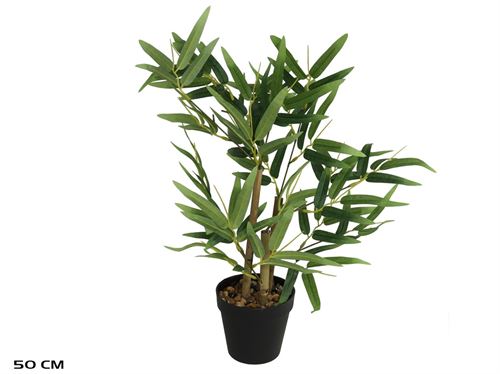42329 BAMBU 50CM