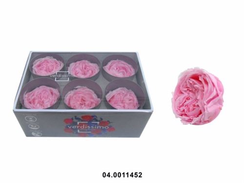 04.0011452 ROSA PRESERVADA CX6