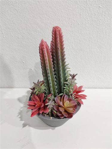 JA-144420 CATO DECORATIVO