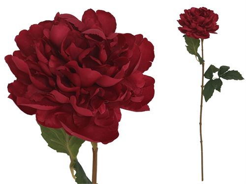 26084 HASTE PEONIA 68CM