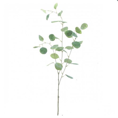 879354 EUCALIPTO 98CM