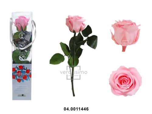 04.0011446 ROSA PRESERVADA CX1