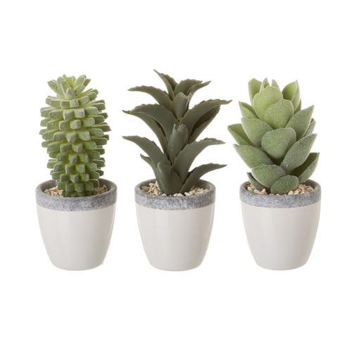 123500 CATO DECORATIVO