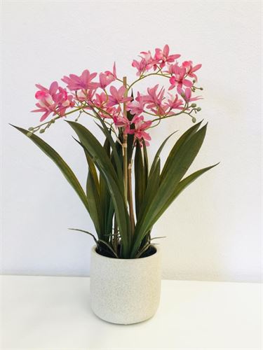 P050184966 ORQUIDEA ROSA 40X40X51CM