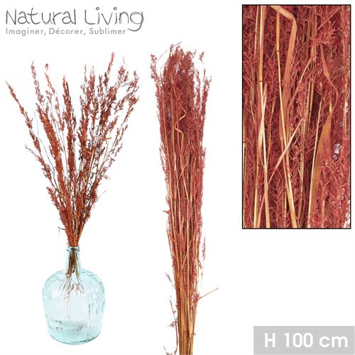 55236 ALFONSO GRASS LIGHT TERRACOTA 100GR H100CM