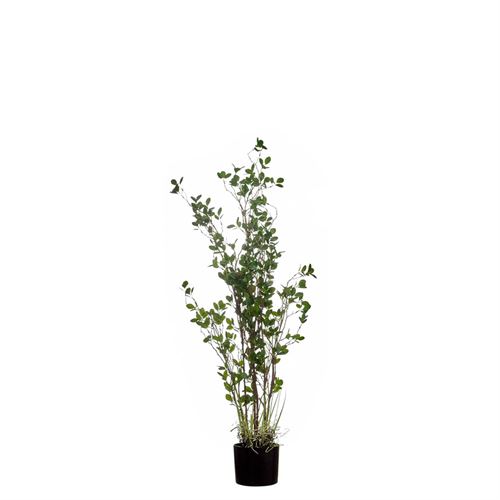43402 PLANTA ARTIFICIAL RUBBER TREE 120CM