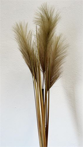 7623-09 HIERBA DE LAS PAMPAS VERDE