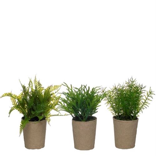 43259 VASO C/PLANTA ARTIFICIAL