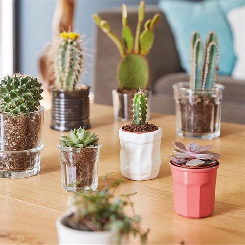 9310491 COPO BAIXO VIDRO ROSA