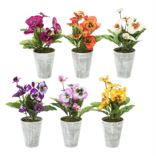 135964 PLANTA PENSAMENTO 6MOD 8X16