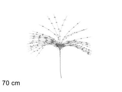 HASTE BAGAS GLITTER PRATA