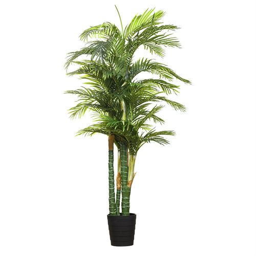 43324 PLANTA ARECA PALMX5 210CM