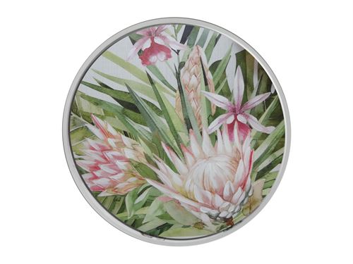 20621243 TELA C/MOLDURA MDF 60X60