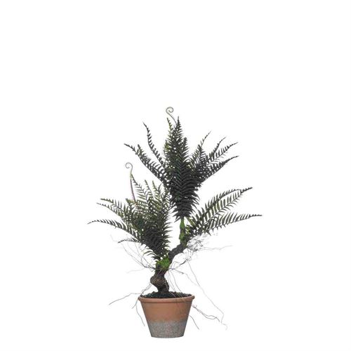 43337 PLANTA ARTIFICIAL 68CM