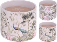 CC5061030 VELA C/VASO 10,5X8,5CM 3MOD