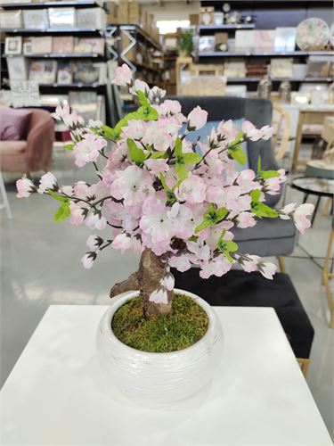 46025 BONSAI APPLETREE MINI ROSA 25CM