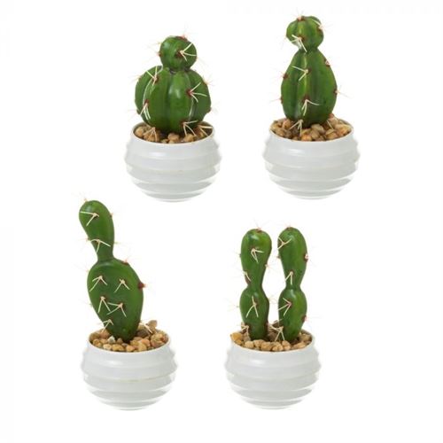 135959 CACTO PL 7X7X14CM