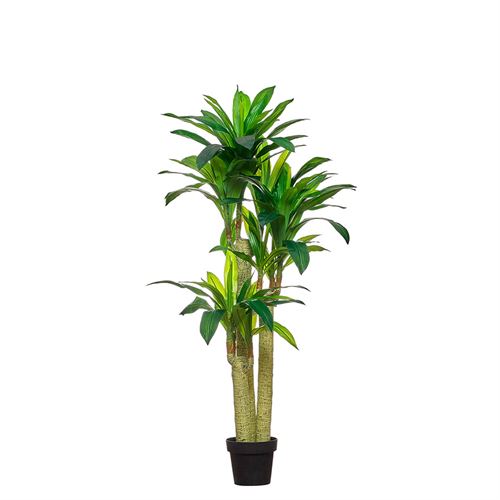 43301 PLANTA ARTIFICIAL DRACAENA