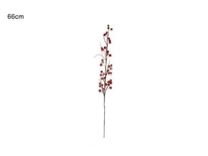 LB13353 NTL RAMO C/BAGAS