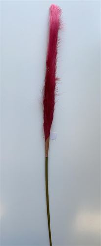 7620-07 PLUMA FUSCIA 78CM