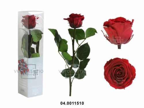 04.0011510 ROSA PRESERVADA MINI